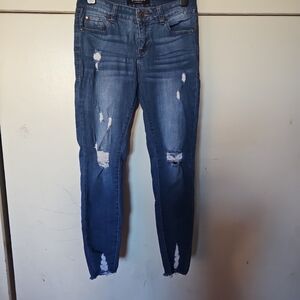 Classic Blue Distressed Jeggings